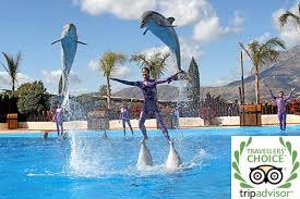 Parco Marino Mundomar